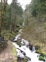 Wahkeena Falls